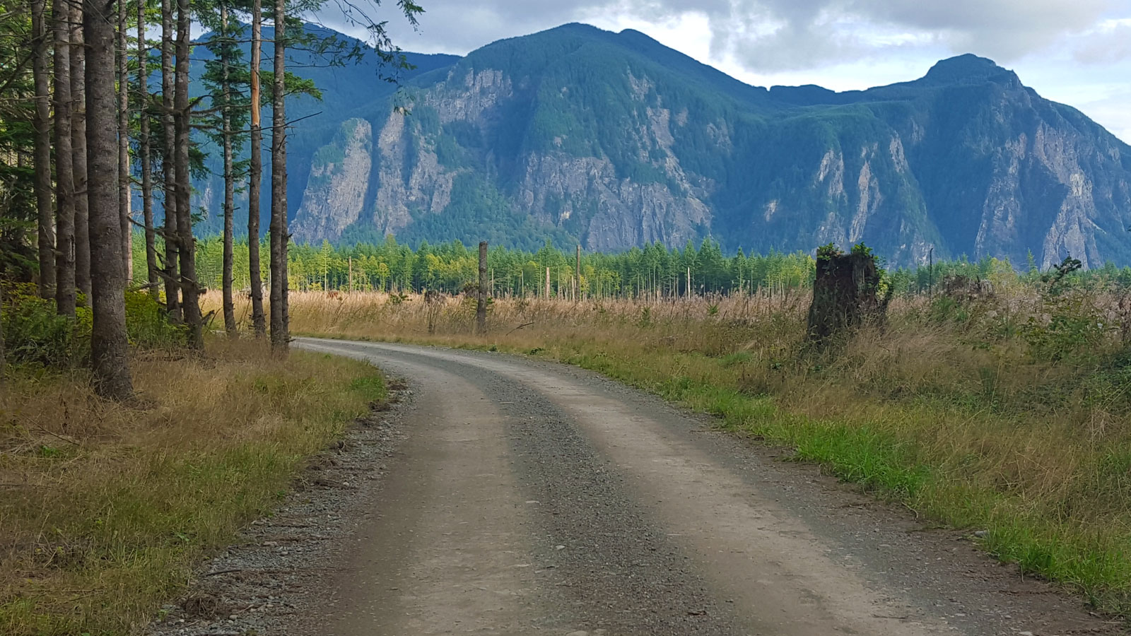 mt si in campbell global tree farm
